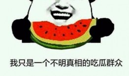 在线吃瓜的意思 朝阳吃瓜群众最新网站,揭秘最新网站，畅享网络“瓜田”盛宴