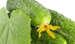 热门大瓜每日必吃大瓜 体育圈的天花板,揭秘天花板级巨星背后的故事