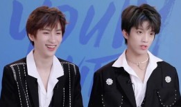 明星黑料ppt,PPT背后的真相与反思